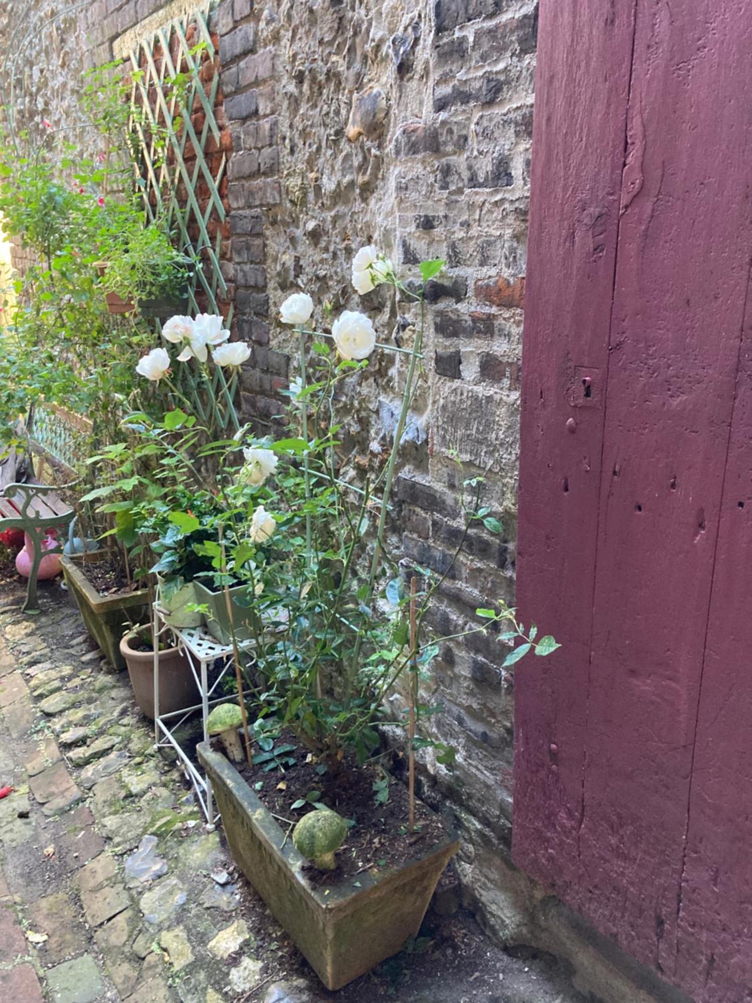 La Maison Belle Maree Honfleur Kültér fotó